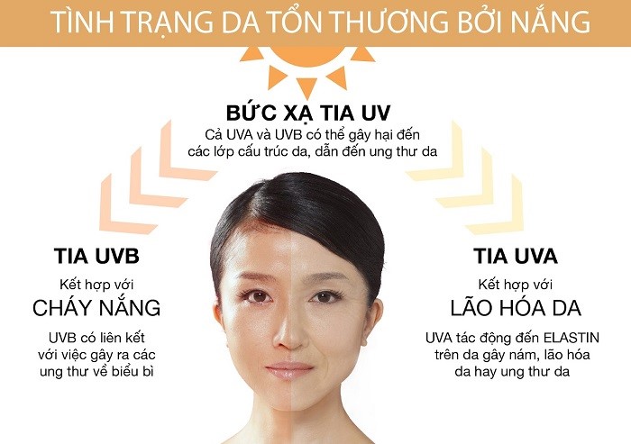 Da bị tổn thương, lão hóa nhanh hơn khi tiếp xúc với tia UVA và UVB Da bị tổn thương, lão hóa nhanh hơn khi tiếp xúc với tia UVA và UVB