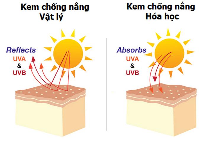 Cơ chế bảo vệ da của kem chống nắng hóa học và vật lý có sự khác biệt rõ rệt Cơ chế bảo vệ da của kem chống nắng hóa học và vật lý có sự khác biệt rõ rệt