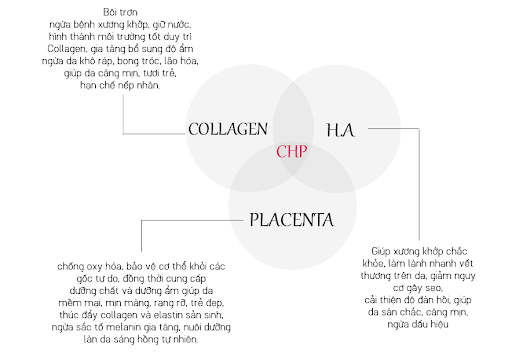 Thành phần Sakura CHP Enhanced Beauty Nutraceuticals Thành phần Sakura CHP Enhanced Beauty Nutraceuticals