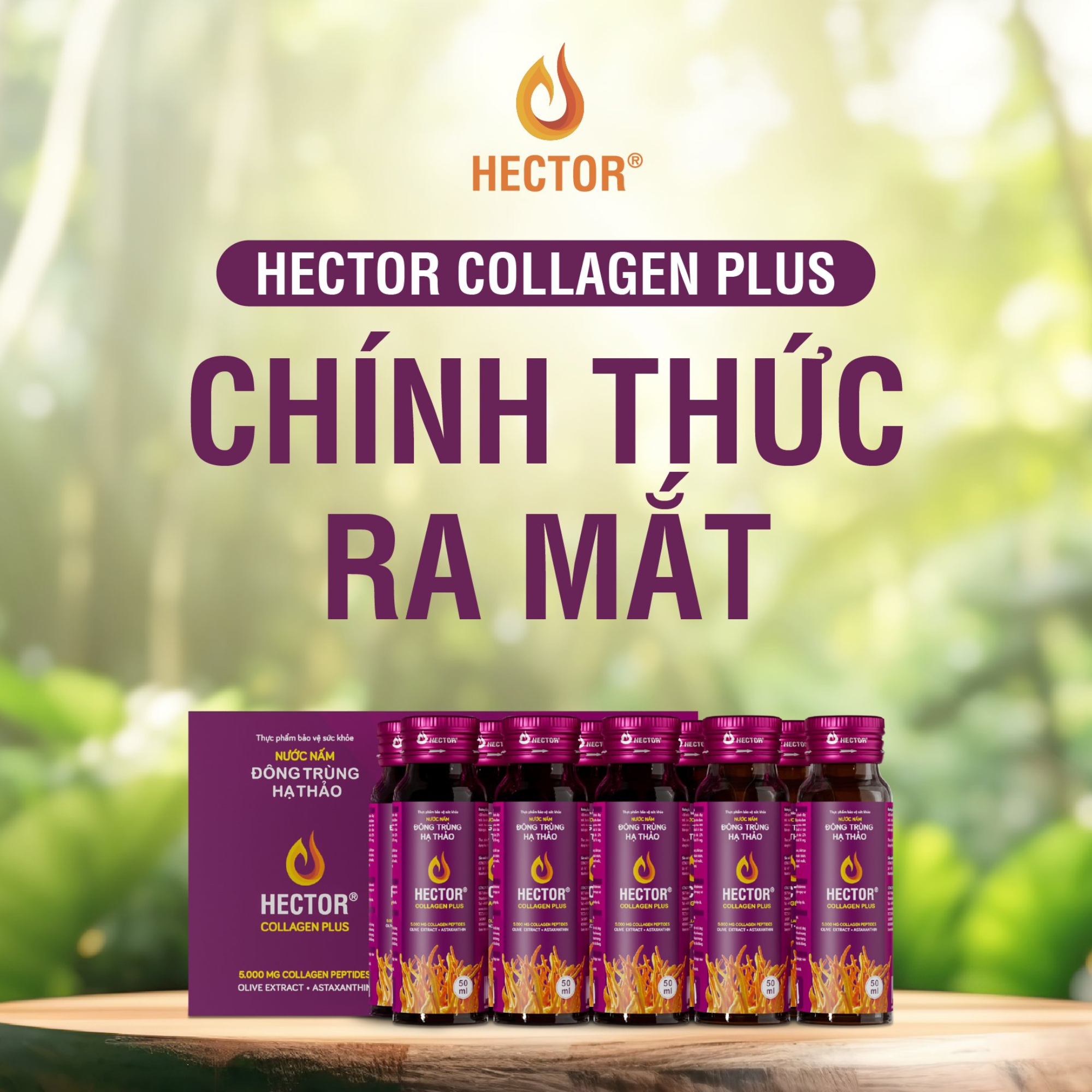 Hector Collagen Plus Nước Nấm Đông Trùng Hạ Thảo