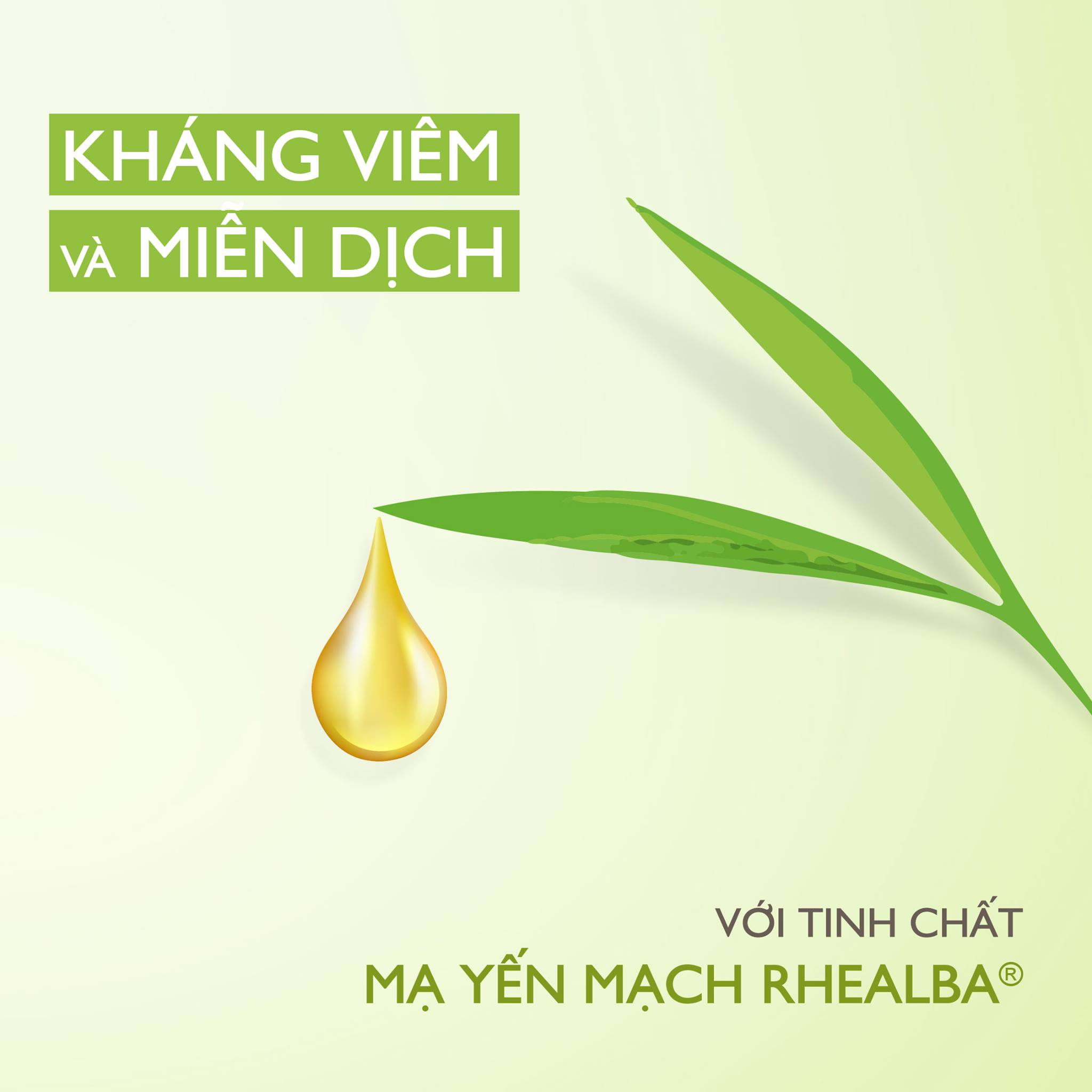 Các dưỡng chất trong yến mạch còn có khả năng chống viêm, dưỡng ẩm cực tốt cho da; có thể phù hợp cho cả da nhạy cảm, viêm cơ địa… Các dưỡng chất trong yến mạch còn có khả năng chống viêm, dưỡng ẩm cực tốt cho da; có thể phù hợp cho cả da nhạy cảm, viêm cơ địa…