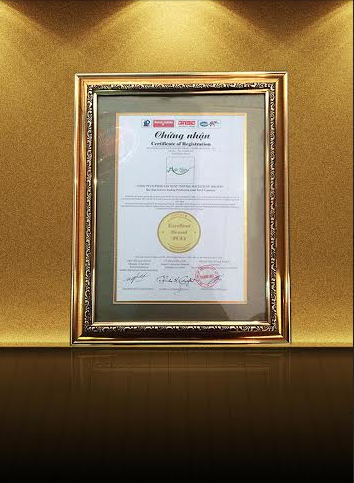 Giấy chứng nhận và cup 