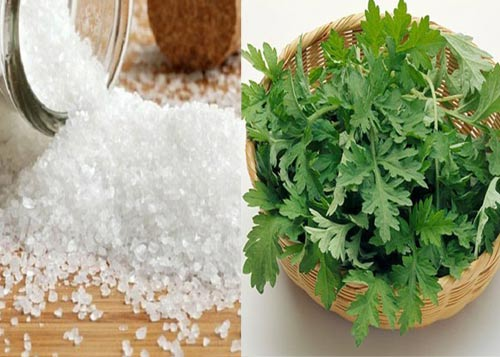 Giảm mỡ bụng sau sinh với lá ngải cứu Giảm mỡ bụng sau sinh với lá ngải cứu