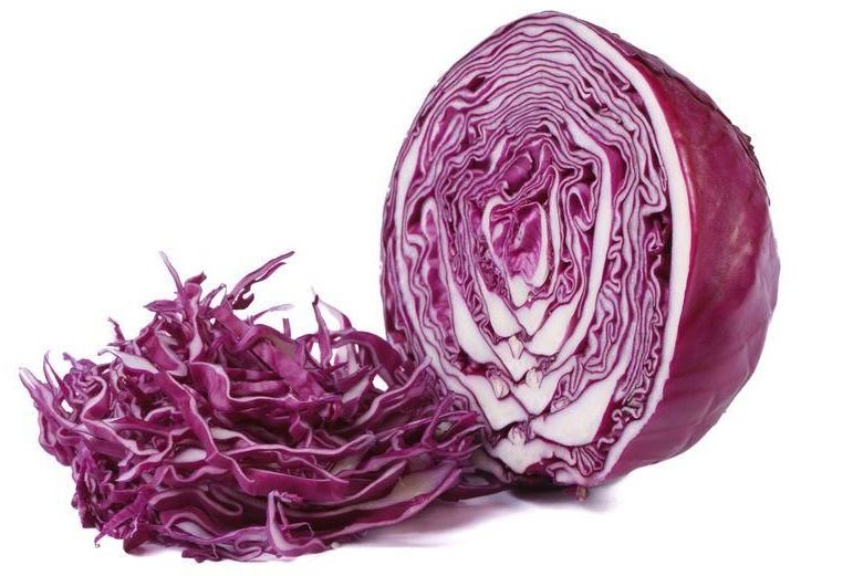 Bắp cải tím là loại rau mang đến hiệu quả giảm cân cực kì tốt Bắp cải tím là loại rau mang đến hiệu quả giảm cân cực kì tốt