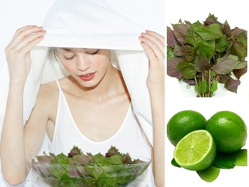 Hướng dẫn xông mặt bằng lá tía tô mang lại nhiếu kết quả vi diệu