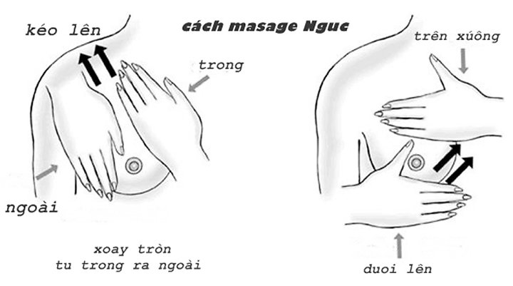 Massage thường xuyên sẽ giúp vòng 1 nhanh chóng căng tròn quyến rũ