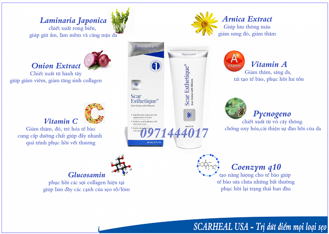  Chiết xuất từ các thành phần thiên nhiên an toàn