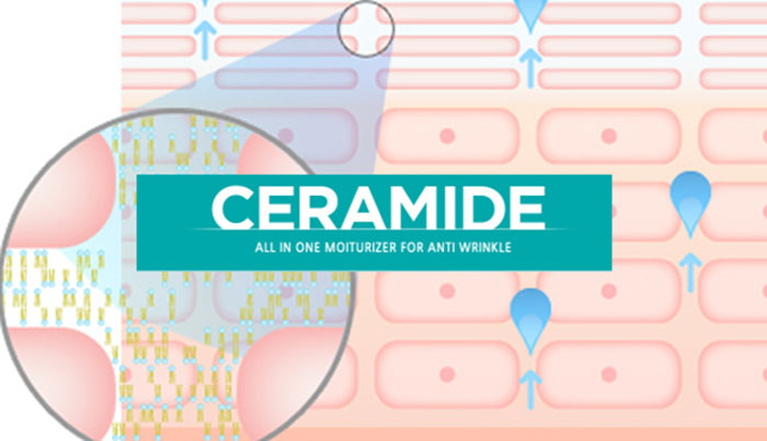 Tìm hiểu vai trò Ceramide trong dưỡng da Tìm hiểu vai trò Ceramide trong dưỡng da